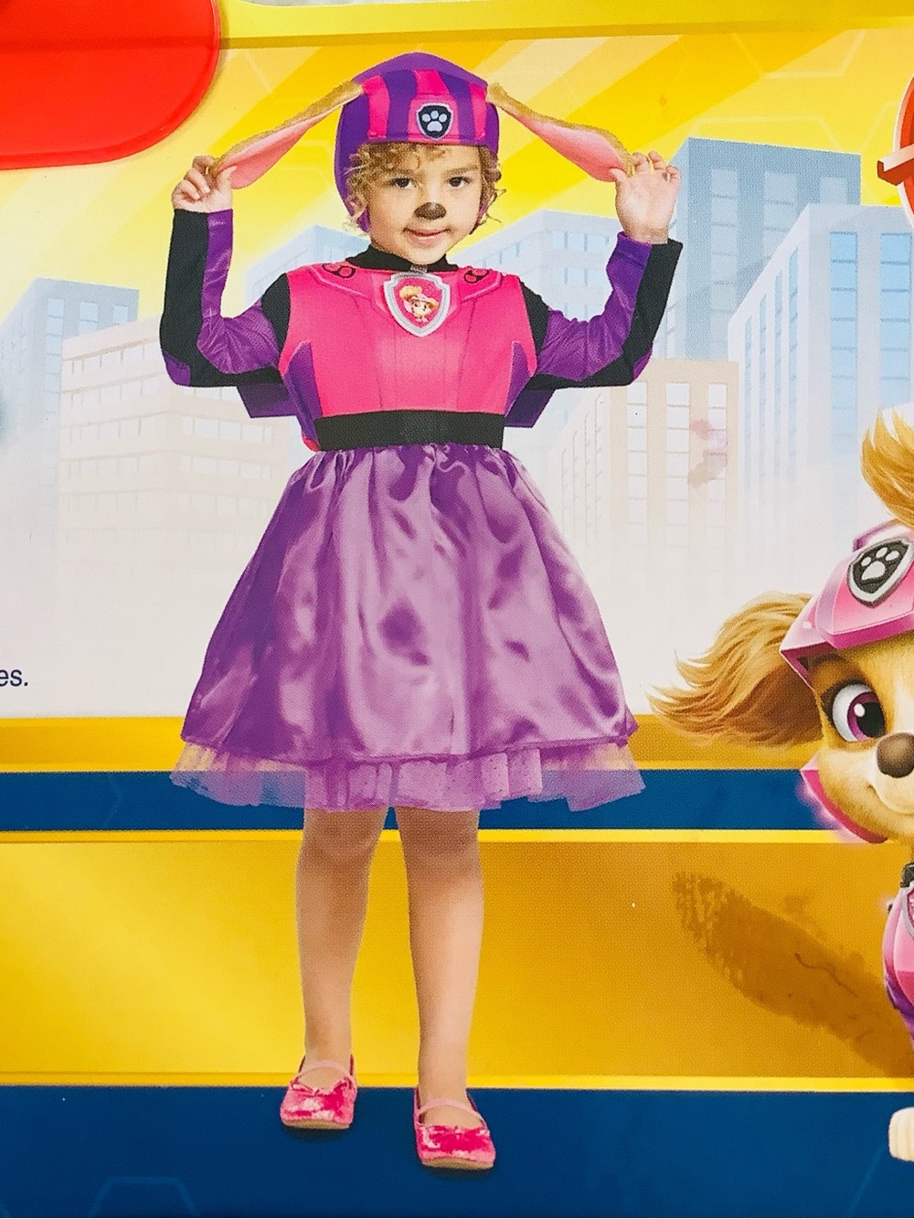 NEW Paw Patrol Skye Disguise Dress-Up Costume with Helmet & Wing Size 3-4